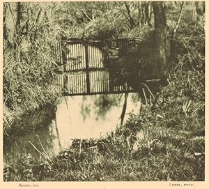 Belgium l'Art en Photographie Nature old Halftone Rellio 1901