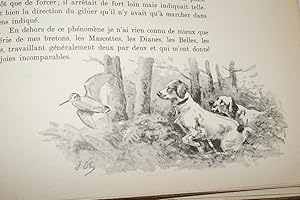 Immagine del venditore per BECASSE, BECASSINES ET PETITS ECHASSIERS venduto da Librairie RAIMOND