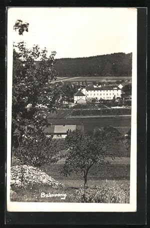 Ansichtskarte Bukovany, Blick ins Tal auf das Schloss