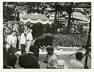 " Tournage du film CAMP-VOLANT (MARKO DER KLOWN)" Max REICHMANN (réalisateur) et son équipe devan...