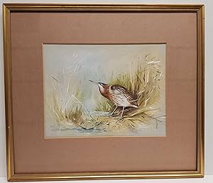 Eurasian Bittern Original Watercolour Painting