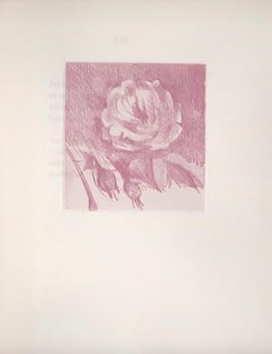 Seller image for Roses VII * for sale by OH 7e CIEL