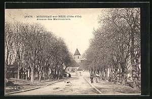 Bild des Verkufers fr Carte postale Mirebeau-sur-Bze, Avenue des Marroniers zum Verkauf von Bartko-Reher