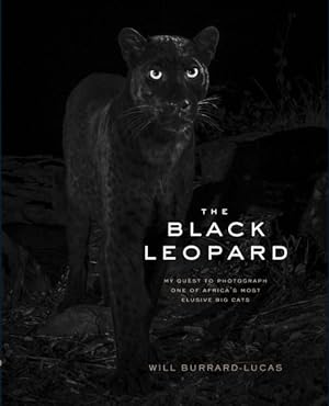 Imagen del vendedor de Black Leopard : My Quest to Photograph One of Africa?s Most Elusive Big Cats a la venta por GreatBookPrices