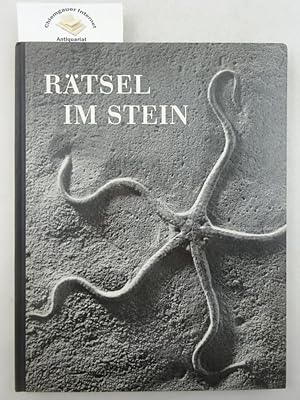 Rätsel im Stein : Minerale und Fossilien. Deutsche Textbearbeitung: Lucie Begov u. Ernst Hofmeist...