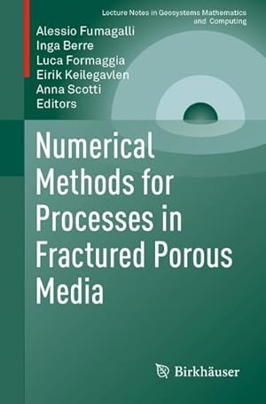 Imagen del vendedor de Numerical Methods for Processes in Fractured Porous Media a la venta por AHA-BUCH GmbH