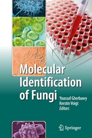 Bild des Verkufers fr Molecular Identification of Fungi zum Verkauf von AHA-BUCH GmbH