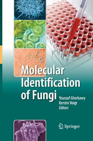 Bild des Verkufers fr Molecular Identification of Fungi zum Verkauf von AHA-BUCH GmbH