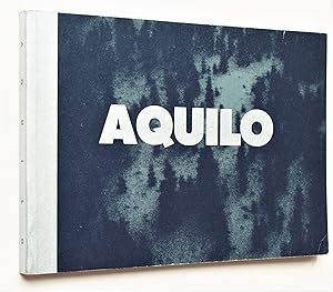 Aquilo, Contemporary Nordic Art