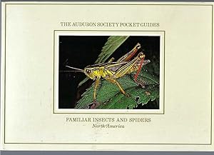 National Audubon Society Pocket Guide Insects and Spiders