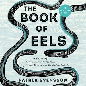 Immagine del venditore per Book of Eels : Our Enduring Fascination With the Most Mysterious Creature in the Natural World: Library Edition venduto da GreatBookPrices