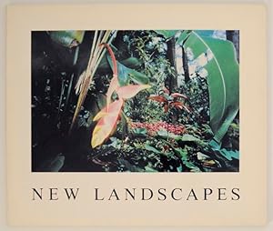 Immagine del venditore per Untitled 24: New Landscapes venduto da Jeff Hirsch Books, ABAA