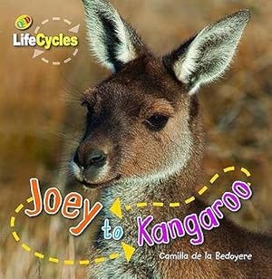 Seller image for Joey to Kangaroo (Hardcover) for sale by Grand Eagle Retail