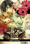 Black Bird 16