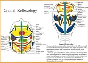 Bild des Verkufers fr Cranial Reflexology (Poster) zum Verkauf von Grand Eagle Retail