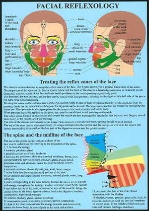 Bild des Verkufers fr Facial Reflexology -- A4 (Poster) zum Verkauf von Grand Eagle Retail