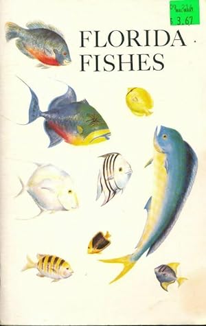 Florida fishes - Rube Allyn