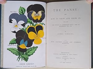The Pansy and How to Grow It