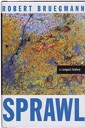 Seller image for Sprawl: A Compact History for sale by Monroe Street Books