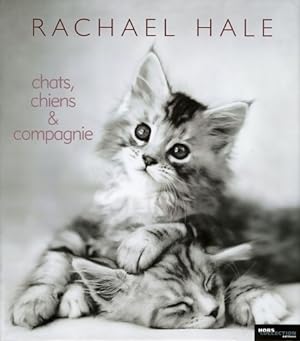 Chats, chiens & compagnie - Rachael Hale