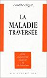 Seller image for La Maladie Traverse for sale by RECYCLIVRE
