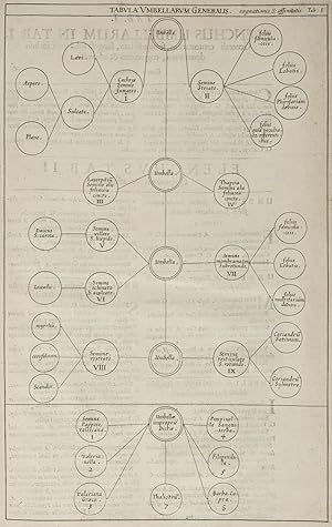 Plantarum Umbelliferarum distributio nova, per tabulas cognationis et affinitatis ex libro natura...