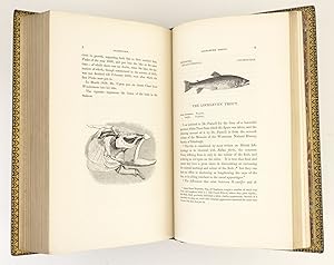 A HISTORY OF BRITISH FISHES [with SUPPLEMENT]