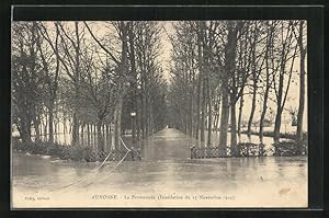 Ansichtskarte Auxonne, La Promenade (Inondation du 15 Novembre 1913)