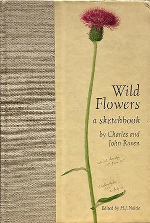 Imagen del vendedor de Wild flowers: a sketchbook a la venta por Acanthophyllum Books