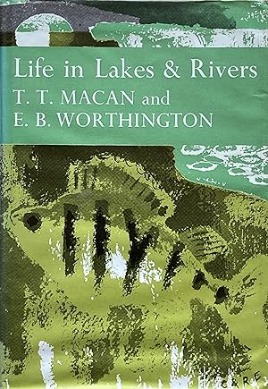 Life in lakes and rivers