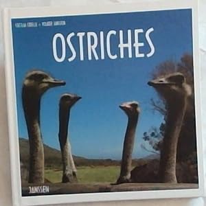 Seller image for Ostriches for sale by Chapter 1