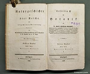 Image du vendeur pour Lehrbuch der Botanik. Band 3 - 1. Theil: Spezielle Botanik I. mis en vente par Antiquariat Lycaste