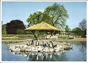 Ansichtskarte / Postkarte Hamburg Mitte, Internationale Gartenbauausstellung 1953, Pinguine