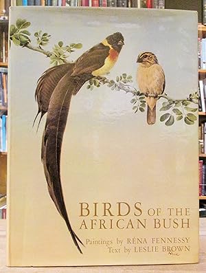 Birds of the African Bush: Paintings by Rena Fennessy