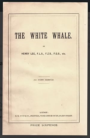 [Moby Dick] The White Whale