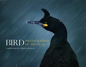Imagen del vendedor de Bird Photographer of the Year a la venta por GreatBookPrices