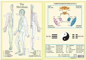 Bild des Verkufers fr Meridians -- A4 (Paperback) zum Verkauf von Grand Eagle Retail