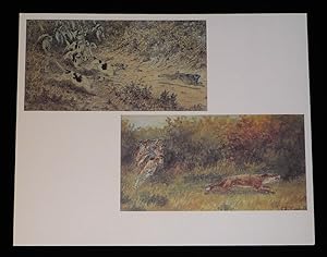 Bild des Verkufers fr Gravure de G. La Roque, issue de l'ouvrage "Georges La Roque : Artiste, veneur et charmant homme" de J. M. Dunoyer de Segonzac : Chasse au livre et au renard zum Verkauf von Abraxas-libris