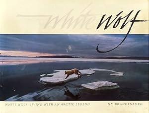 Imagen del vendedor de White Wolf: Living with an Arctic Legend a la venta por LEFT COAST BOOKS