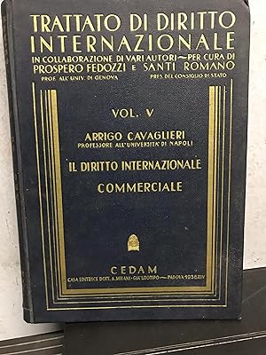 IL DIRITTO INTERNAZONALE COMMERCIALE (TRATTATO DI DIRITTO INTERNAZIONALE VOL. V).