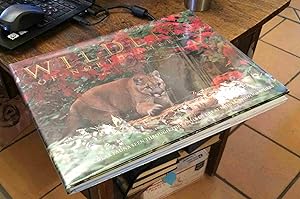 Bild des Verkufers fr Wildlife of North America zum Verkauf von Xochi's Bookstore & Gallery