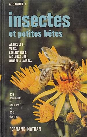 Insectes et petites bêtes dans leur milieu naturel