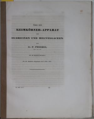 Über den Keimkörner-Apparat der Agaricinen und Helvellaceen.