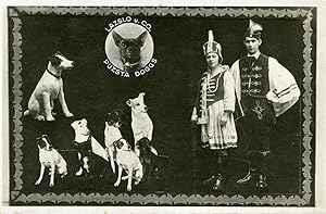 "LAZSLO u. CO. / PUZSTA DOGGS" Carte postale-photo originale (années 40)