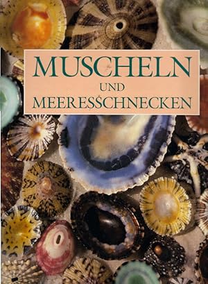 *Muscheln und Meeresschnecken