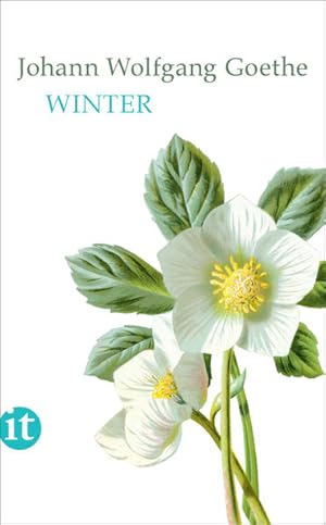 Seller image for Winter (insel taschenbuch) for sale by Gerald Wollermann