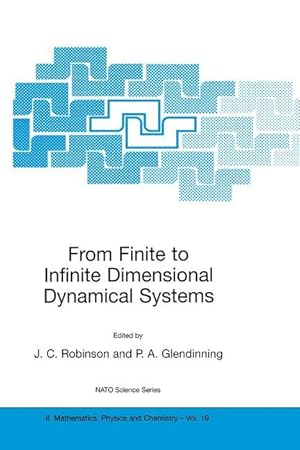 Image du vendeur pour From Finite to Infinite Dimensional Dynamical Systems mis en vente par moluna
