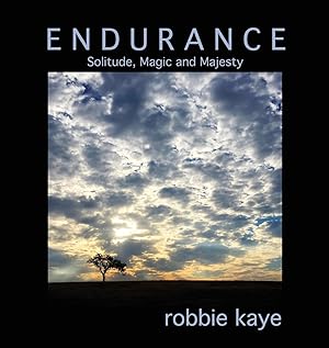 Seller image for Endurance for sale by moluna