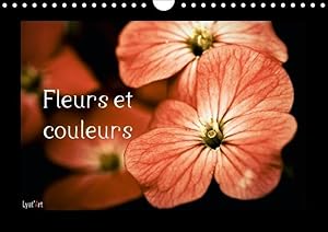 Seller image for Fleurs et couleurs (Calendrier mural Calendrier perptuel DIN A4 horizontal) for sale by moluna