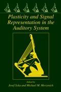Seller image for Plasticity and Signal Representation in the Auditory System for sale by moluna